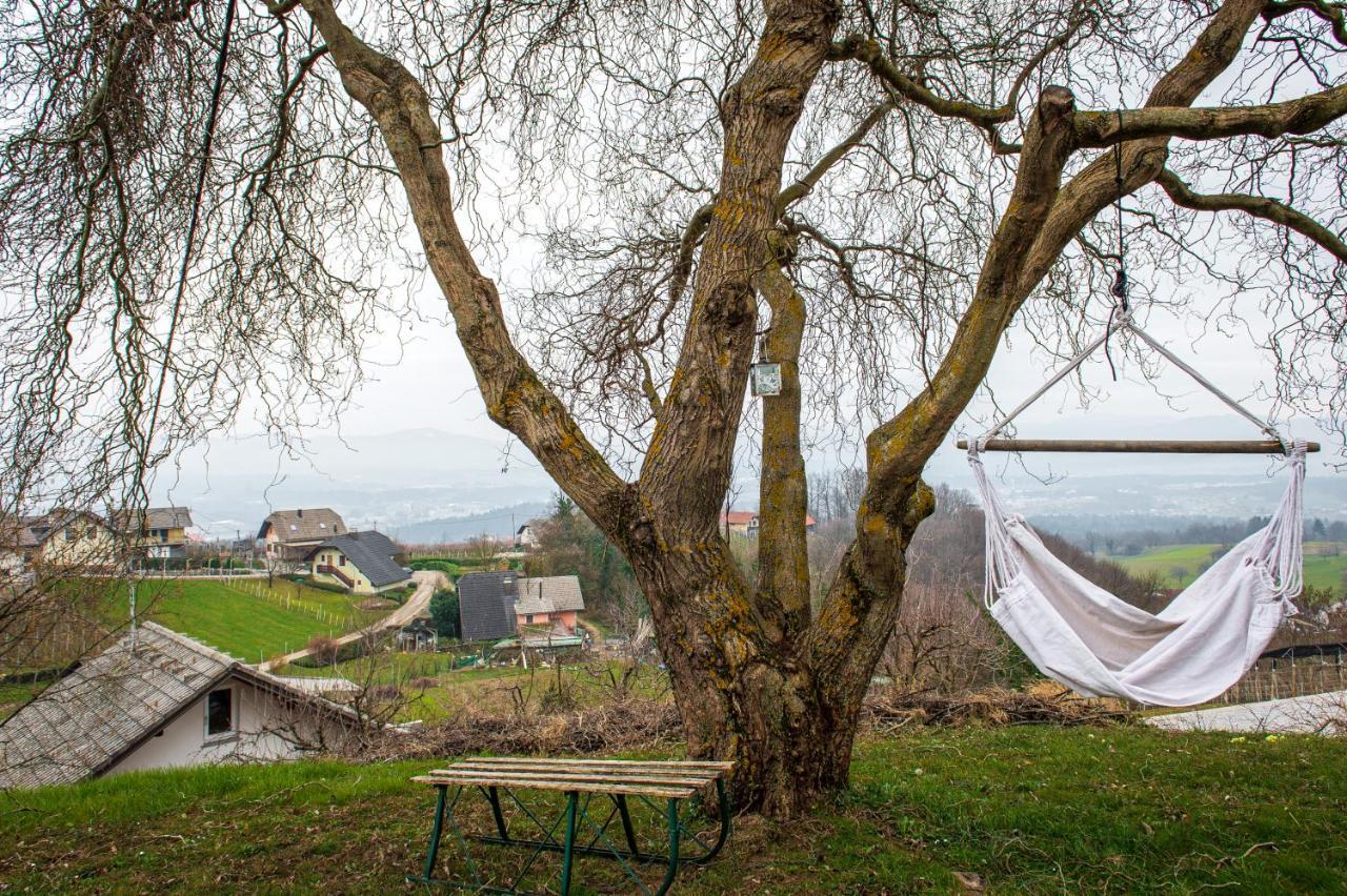 Vineyard Cottage Klemencic Novo Mesto Exteriér fotografie