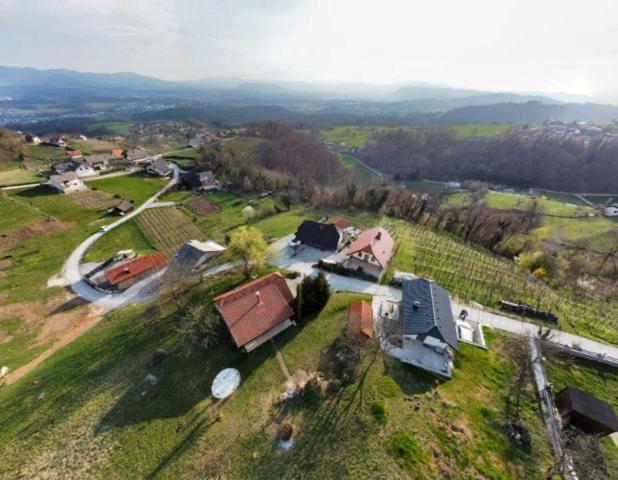 Vineyard Cottage Klemencic Novo Mesto Exteriér fotografie